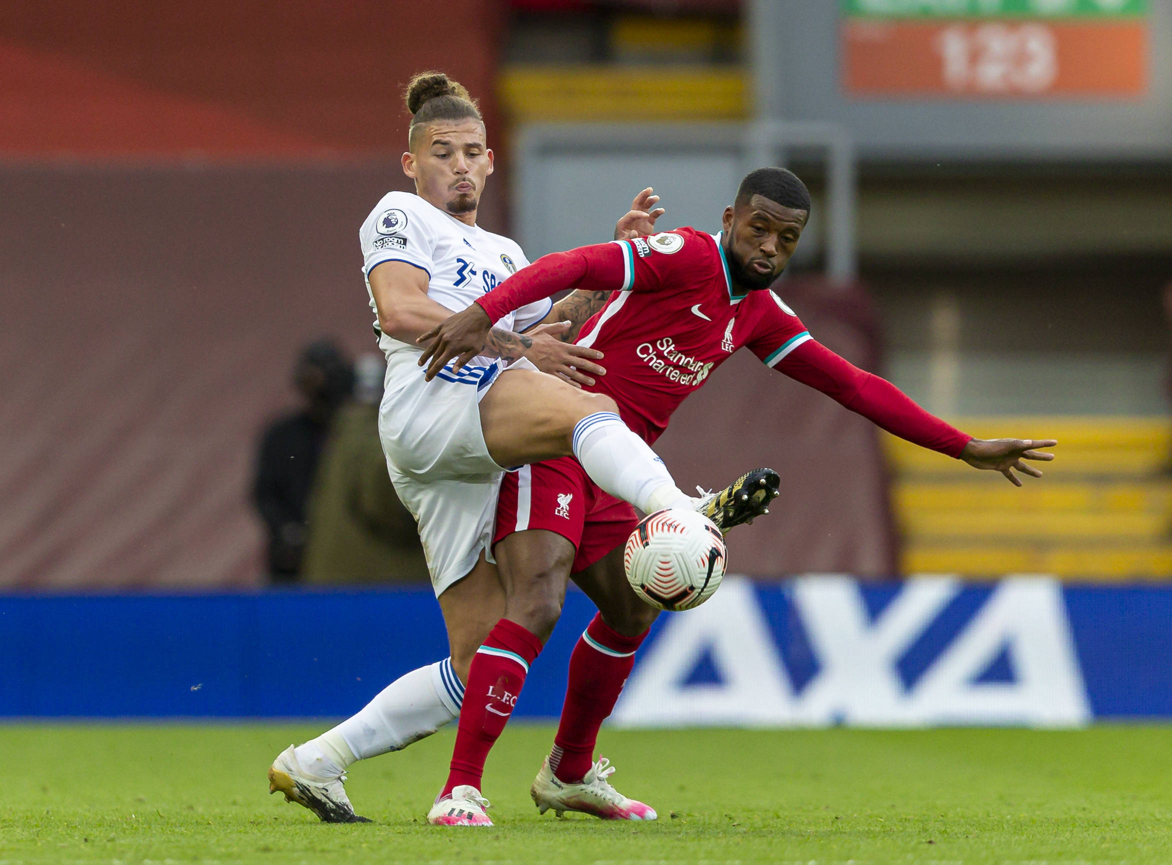 一颗新星 一颗新星