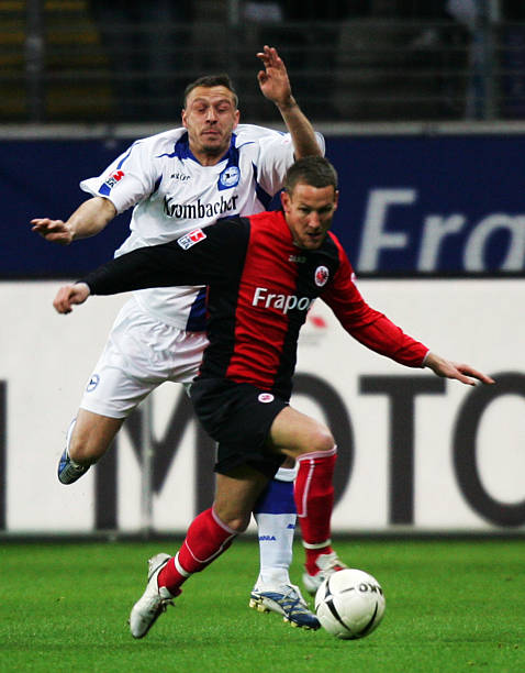 兰豆闪耀 兰豆闪耀